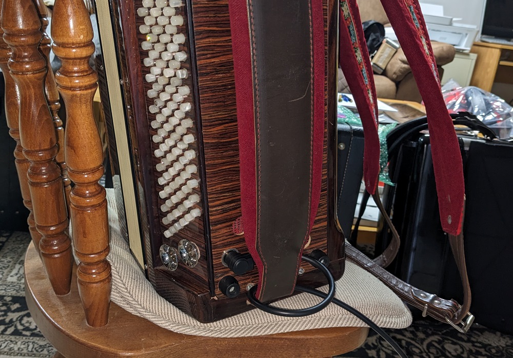 Alpenecho Alpine Musette Accordion
