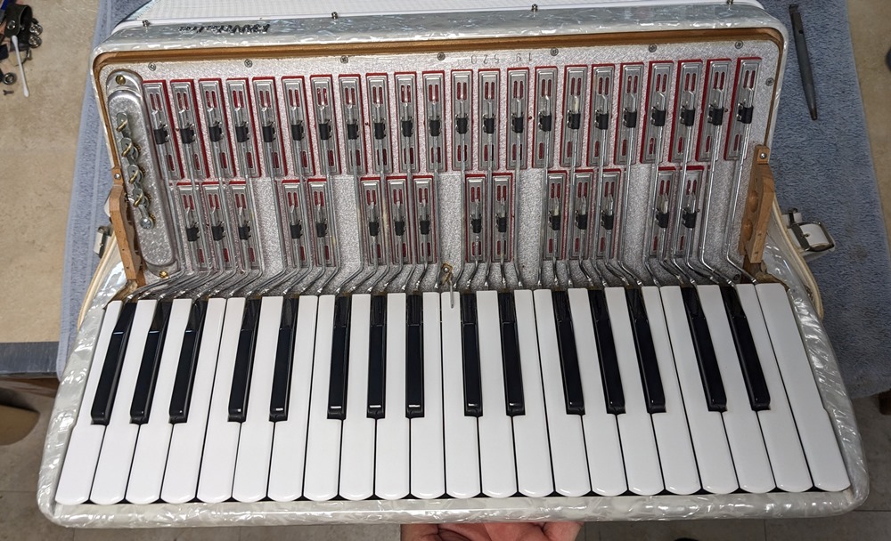 PANitalia (Pigini) Accordion