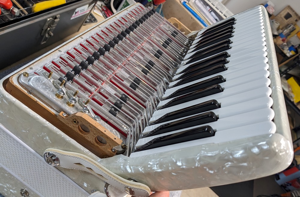 PANitalia (Pigini) Accordion