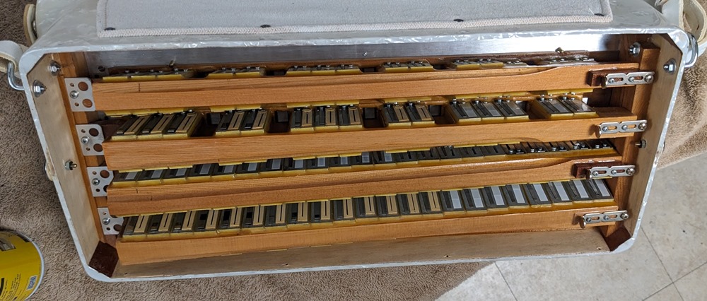 PANitalia (Pigini) Accordion
