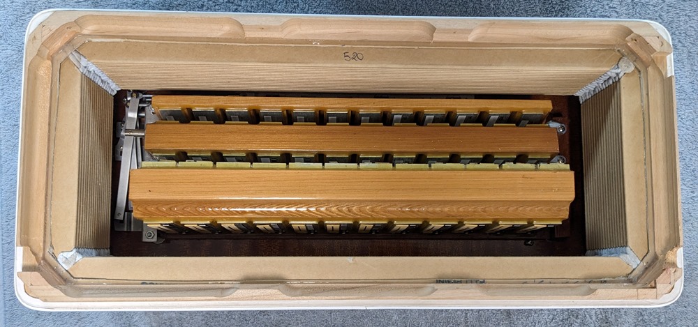 PANitalia (Pigini) Accordion