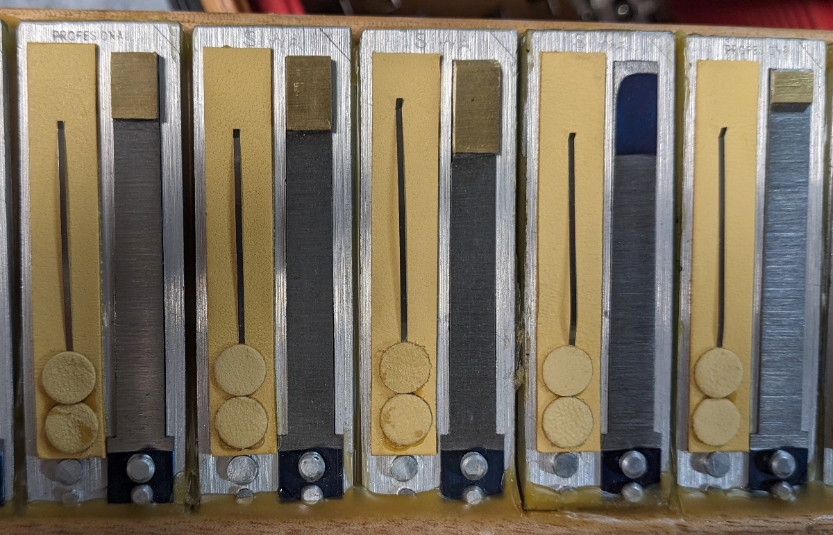 Siwa & Figli Cobra 37 Accordion