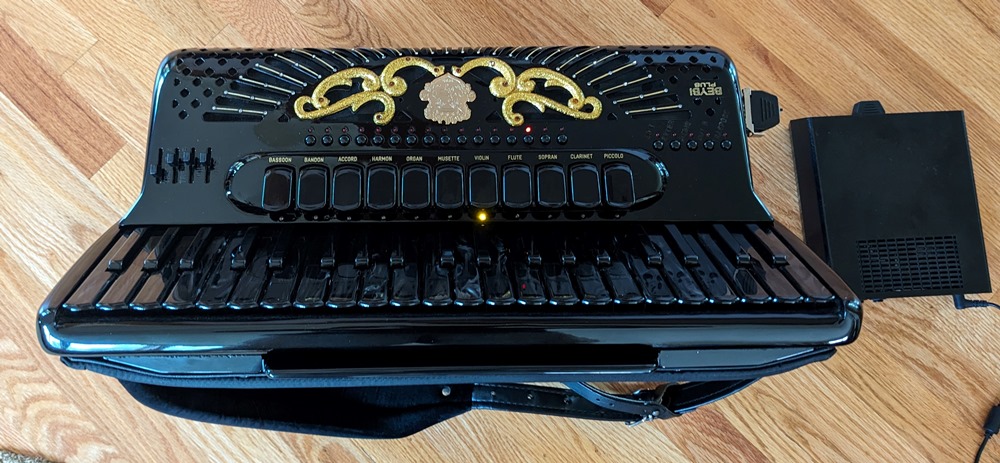 Siwa & Figli Black Star Reedless Accordion