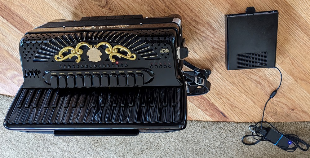 Siwa & Figli Black Star Reedless Accordion