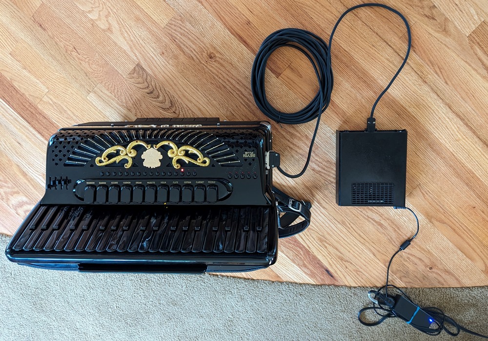 Siwa & Figli Black Star Reedless Accordion