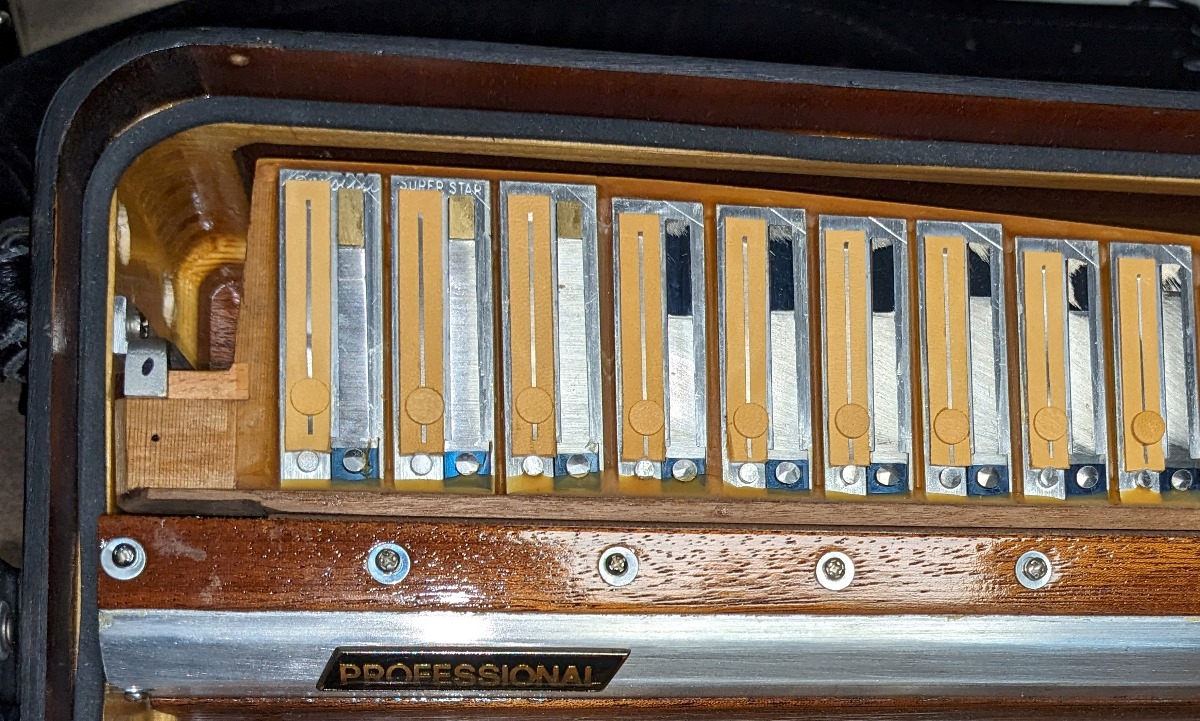Borsini Super Star Professional Accordion