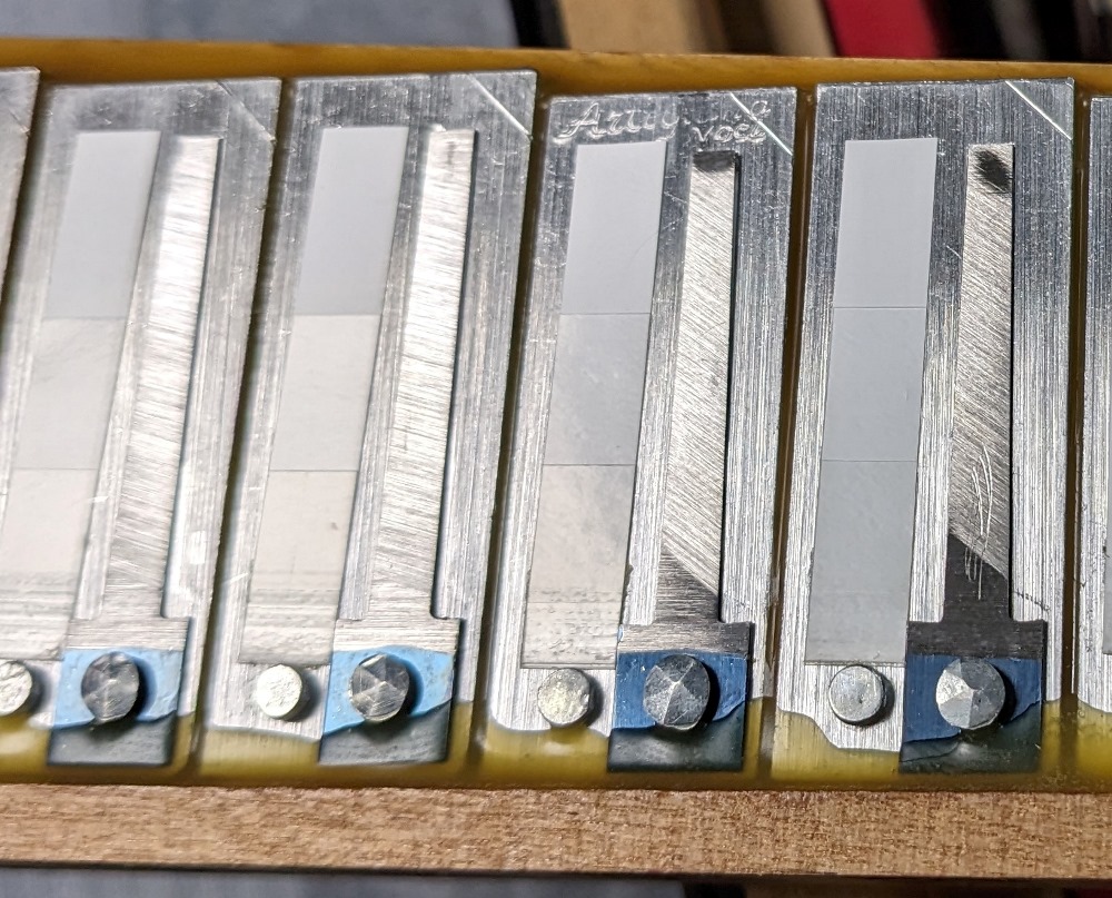 Dino Baffetti Accordion
