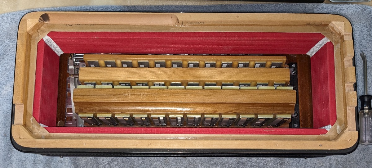 Dino Baffetti Accordion