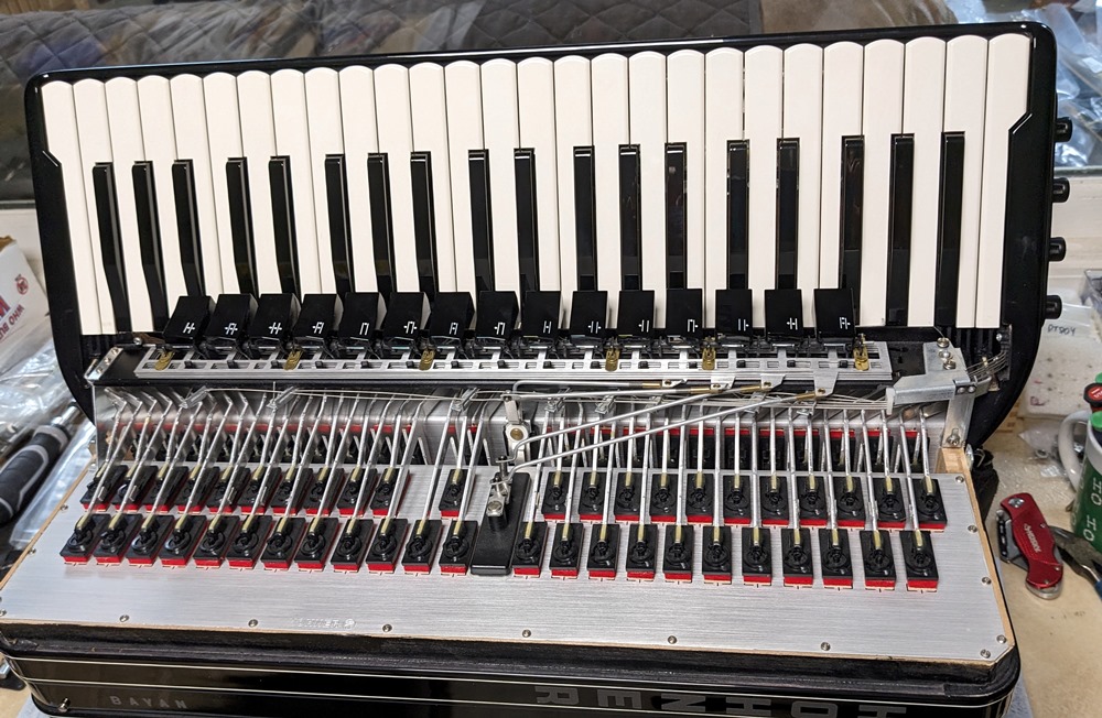 Hohner Morino IV 120C Bayan