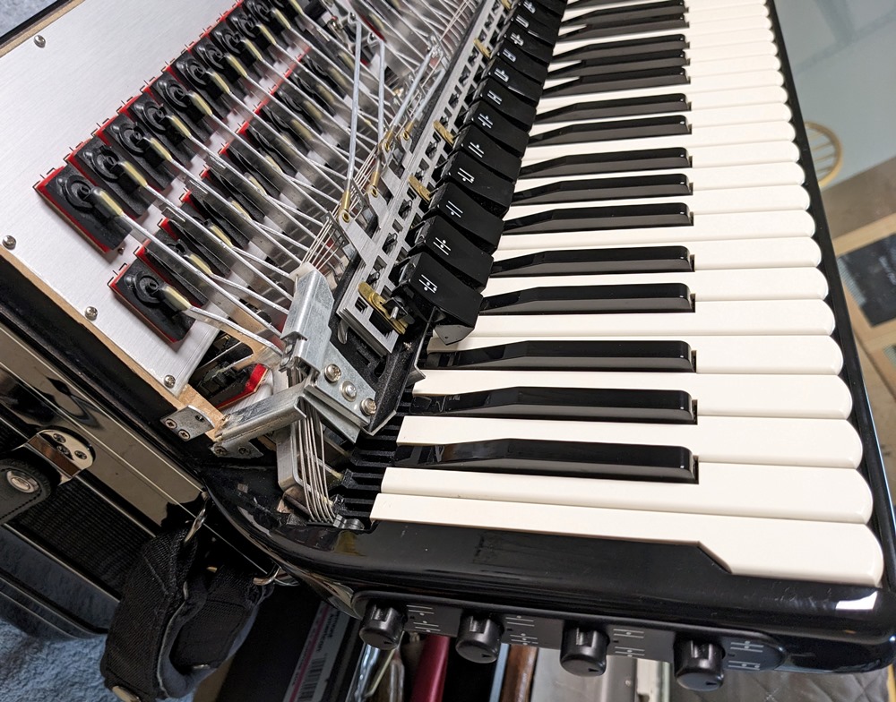 Hohner Morino IV 120C Bayan