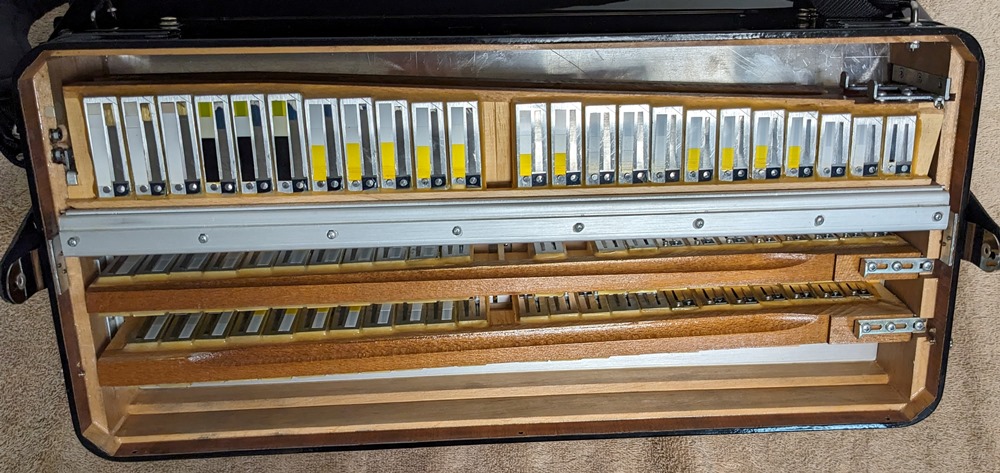 Hohner Morino IV 120C Bayan
