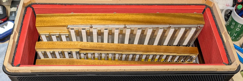 Hohner Morino IV 120C Bayan