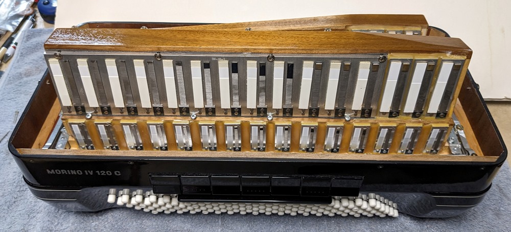 Hohner Morino IV 120C Bayan
