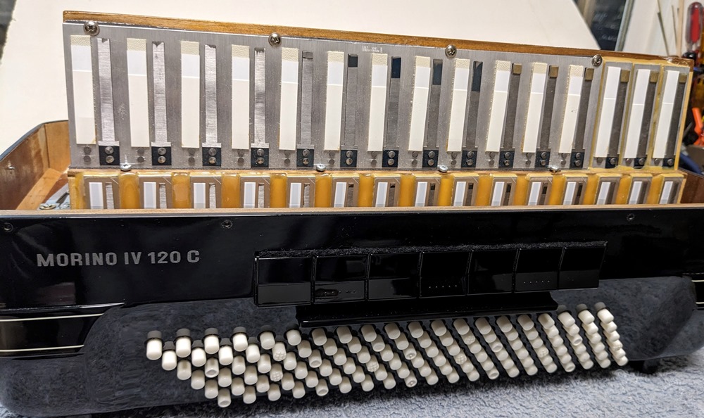 Hohner Morino IV 120C Bayan