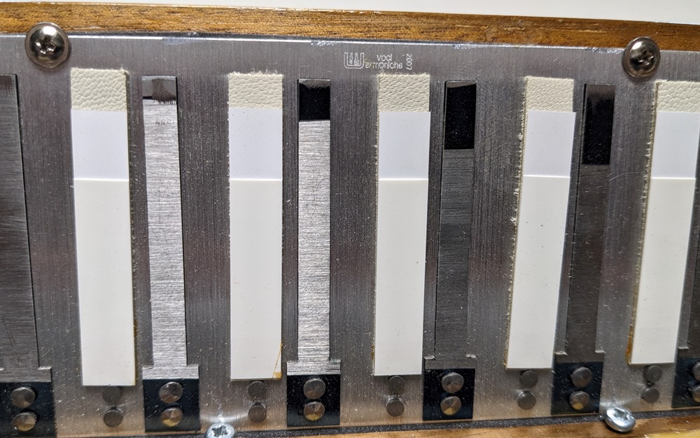 Hohner Morino IV 120C Bayan