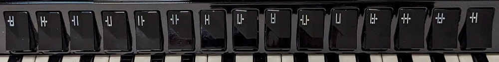 Hohner Morino IV 120C Bayan