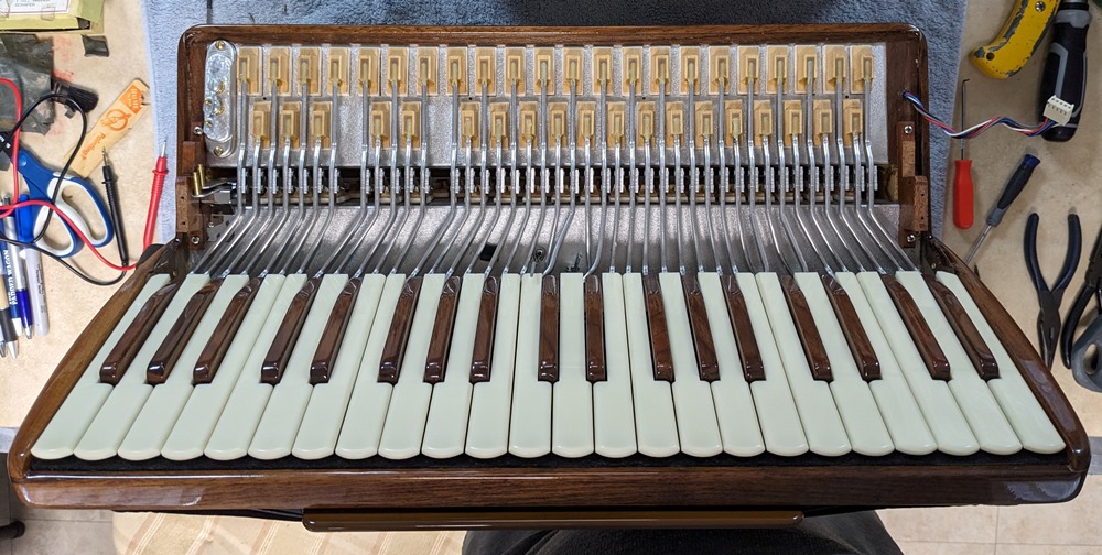 Ottavianelli Artist Walnut Accordion