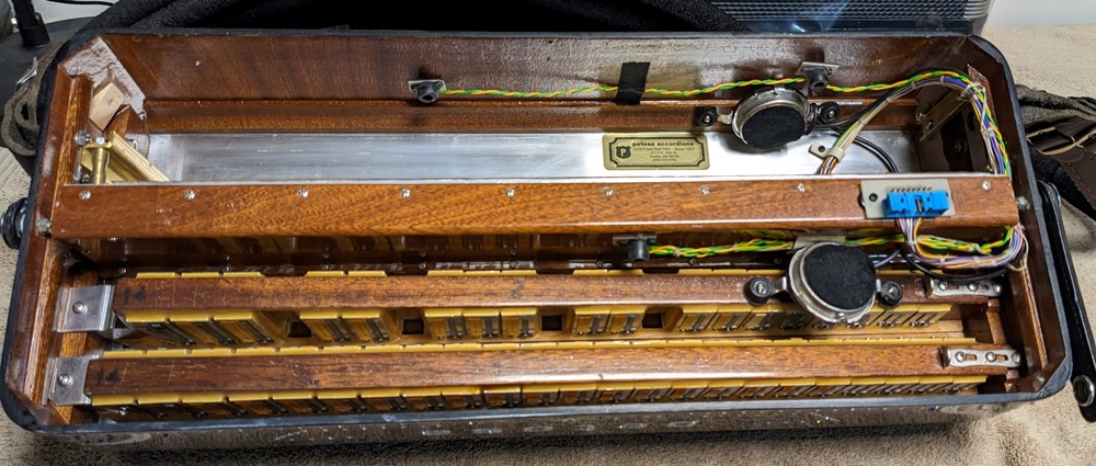 Petosa AM-1100 Accordion