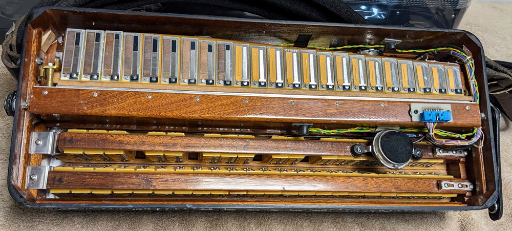 Petosa AM-1100 Accordion