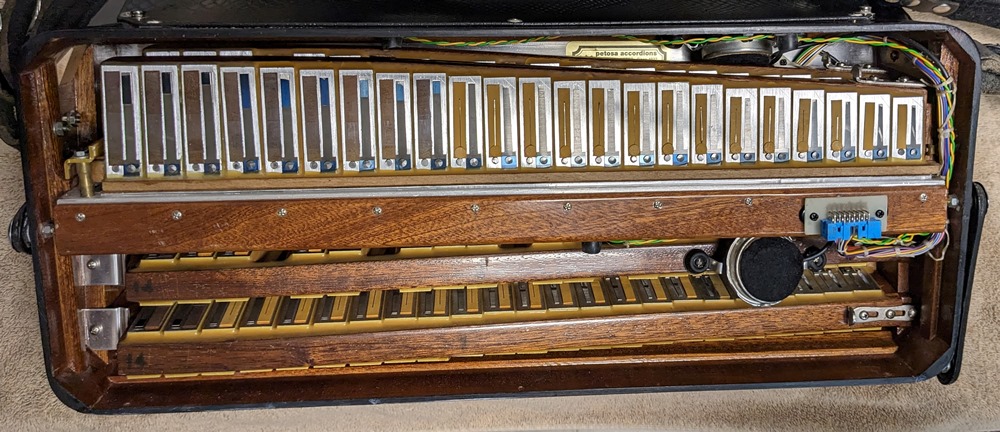 Petosa AM-1100 Accordion