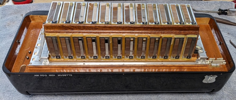 Petosa AM-1100 Accordion