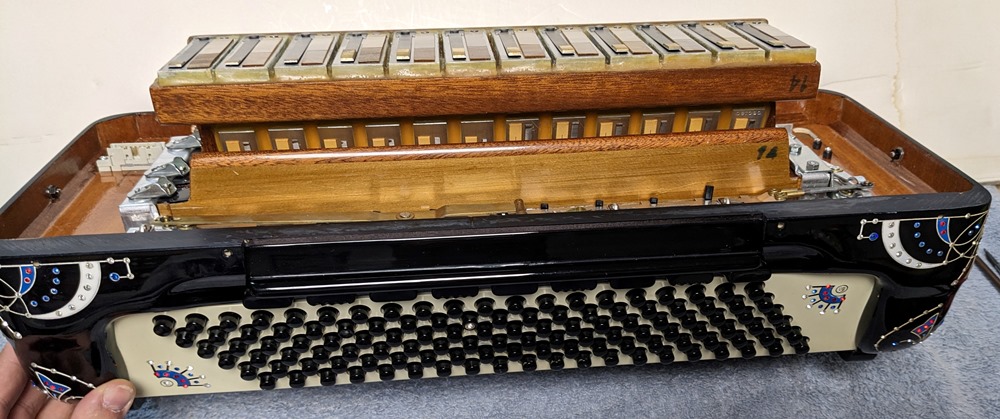 Petosa AM-1100 Accordion