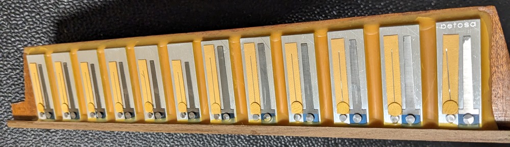 Petosa AM-1100 Accordion