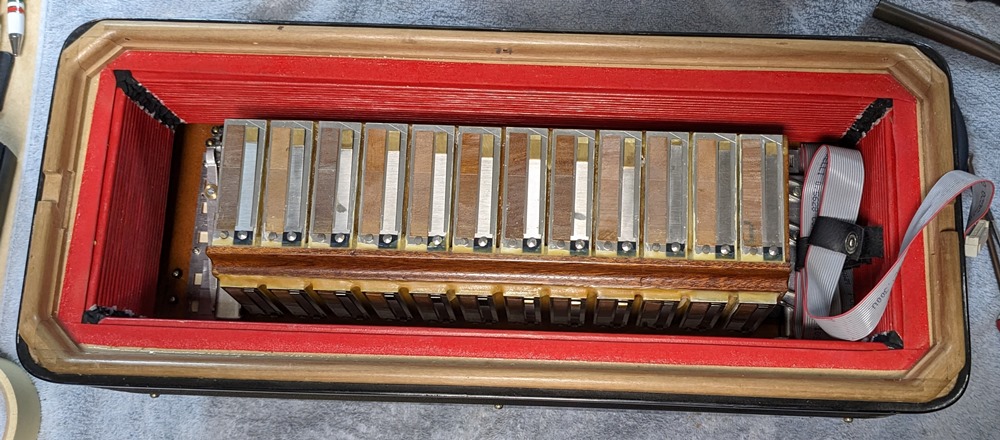 Petosa AM-1100 Accordion