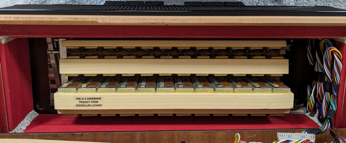 Serenellini Musette MIDI Amplified Accordion