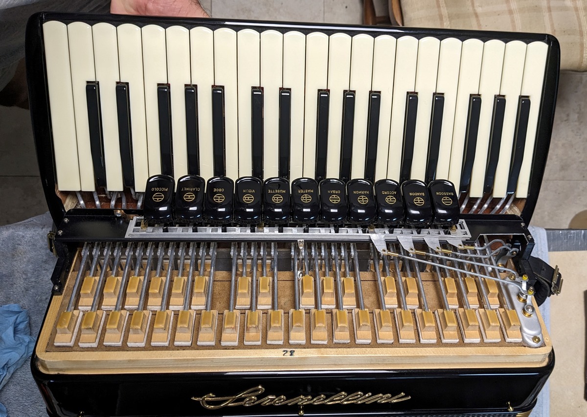 Serenellini Regina Gold Cassotto Accordion