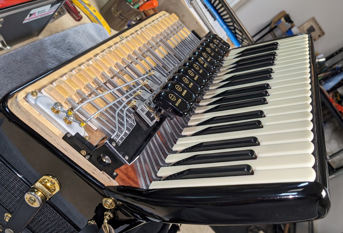 Serenellini Regina Gold Cassotto Accordion