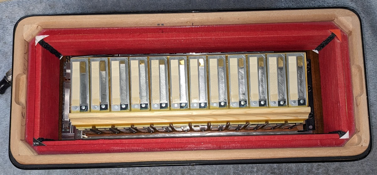 Serenellini Regina Gold Cassotto Accordion
