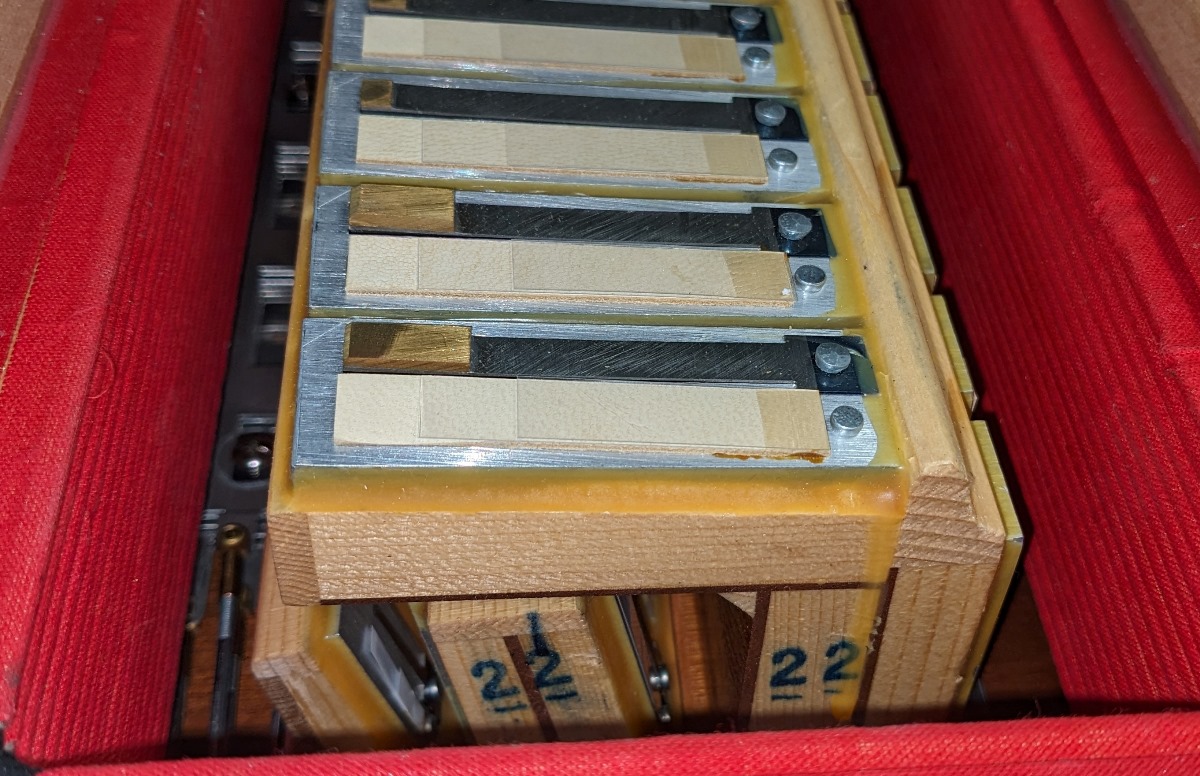 Serenellini Regina Gold Cassotto Accordion