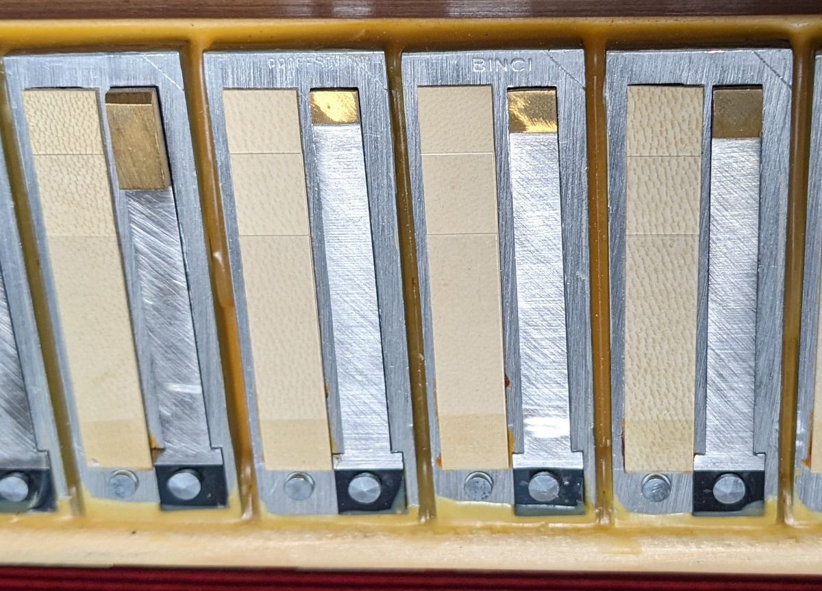 Serenellini Regina Gold Cassotto Accordion