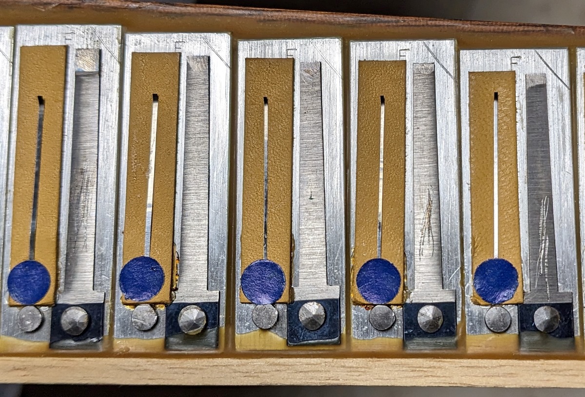 Titano Royal (Pigini Super King) Accordion